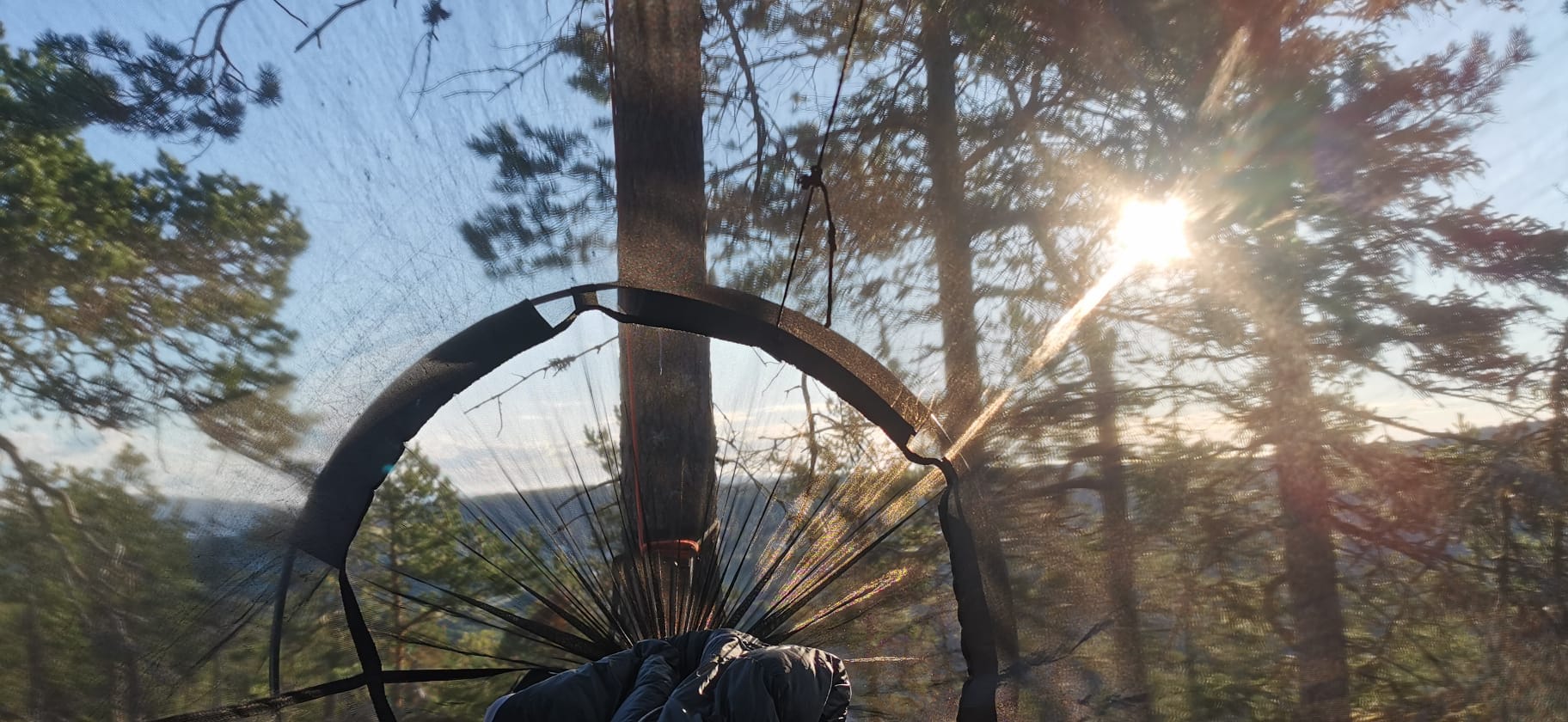 Wakker worden in de natuur tijdens de outdoor coaching