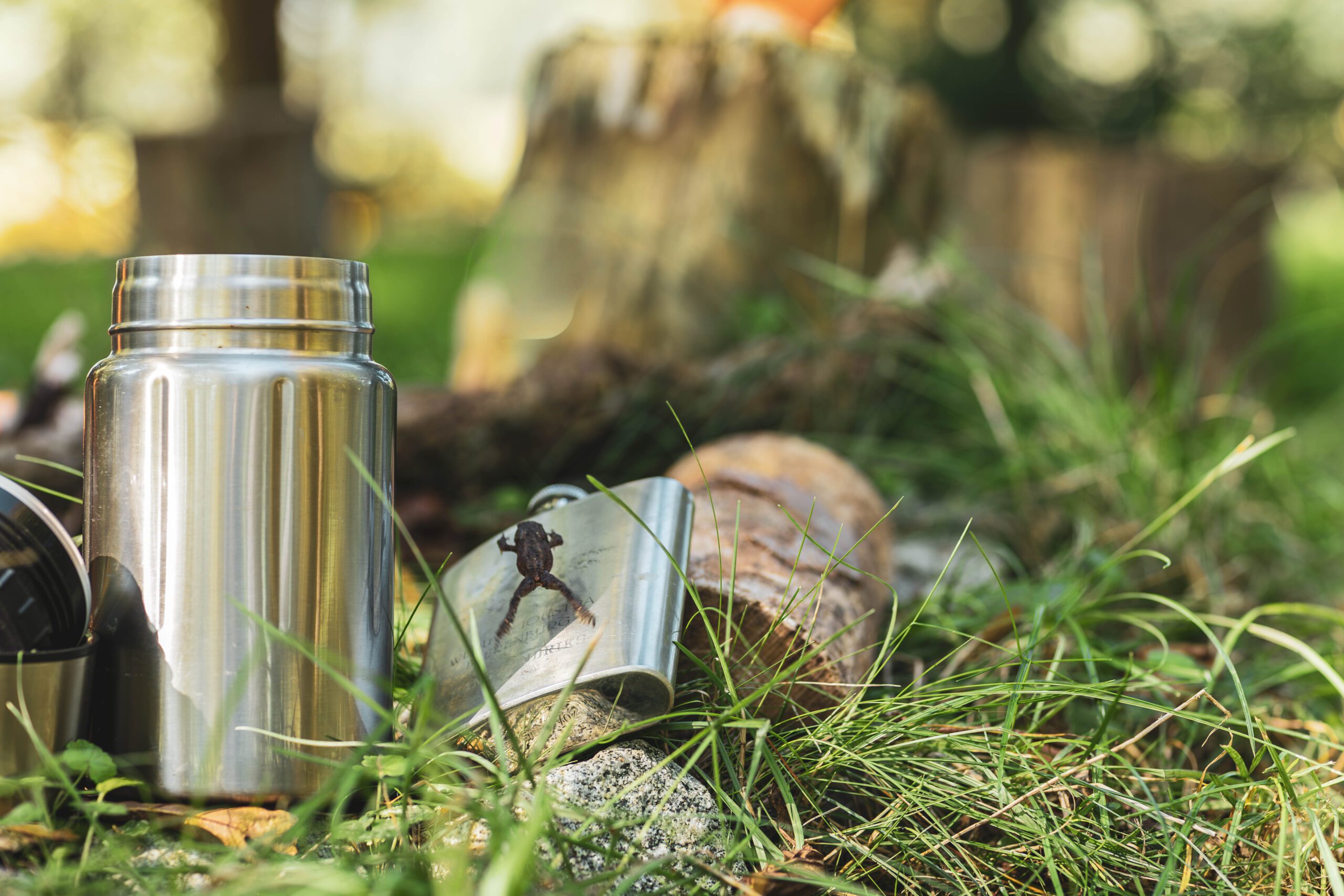Thermosfles en beker op een boomstam, met een kikker die toevallig voorbij springt